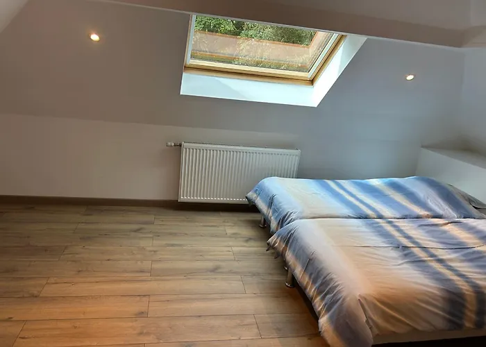 Du Metz Saint-Julien-lès-Metz